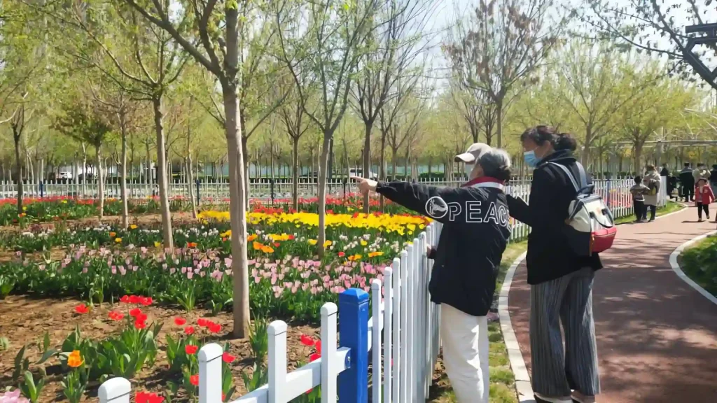 五一北京周边游:辛集旅游攻略,辛集必玩三大景点 五一北京周边游:辛集旅游攻略,辛集必玩三大景点