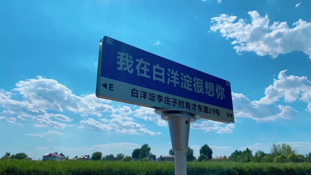 白洋淀荷花开了!北京出发2h直达的水上乐园 白洋淀荷花开了!北京出发2h直达的水上乐园